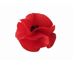 Hairpin Wild Poppies